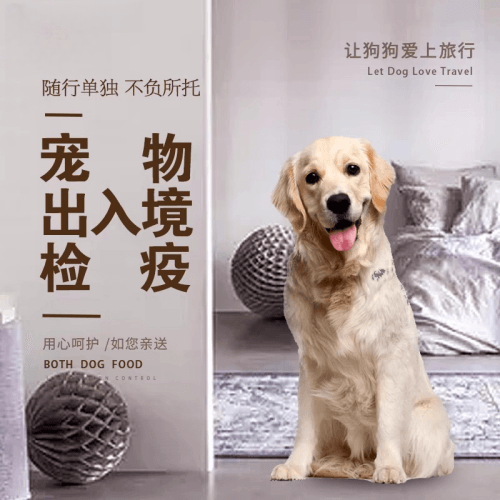开封市宠物托运到哥伦比亚猫狗宠物入境规定和