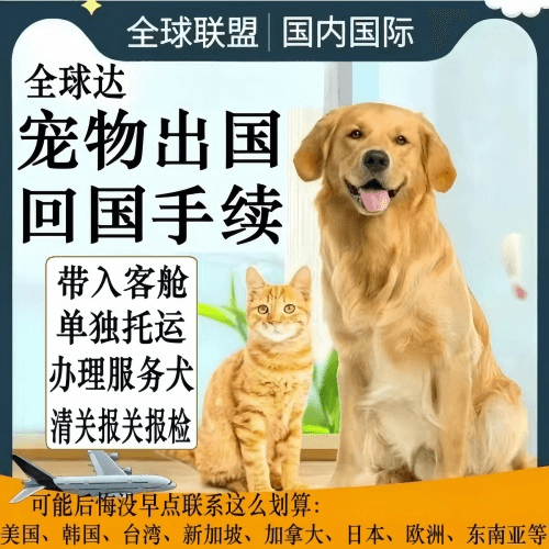 开封市宠物托运到柬埔寨宠物入境规定和要求