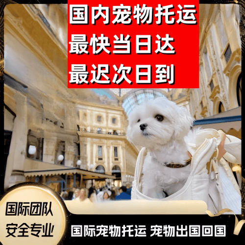 开封市到澳大利亚（澳洲）宠物入境规定和要求
